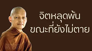 จิตหลุดพ้น-ขณะที่ยังไม่ตาย | มูลนิธิพุทธโฆษณ์