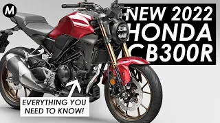 New 2022 Honda CB300R: Everything You Need To Know!
