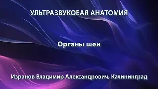 Изранов В.А. - Ультразвуковая анатомия органов шеи