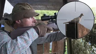 The Airgun Show – Shooting crows & doves on farm, PLUS Air Force One Air Ram Compressor