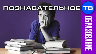 В школе СКУЧНО и ОТВРАТНО учиться. Почему? (Артём Войтенков)