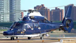 Eurocopter AS365N3 Dauphin II | UK Army | Takeoff at London Battersea Heliport | Helicopter | Rare