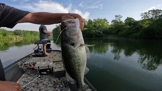 Live bait verses artificial May 6th Duck River with Josh