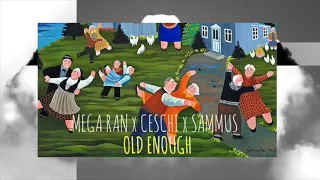 Mega Ran: "Old Enough" feat. Ceschi and Sammus