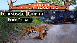 Pilibhit | Pilibhit Tiger Reserve | Jungle Safari | Pilibhit Wildlife Safari | Chuka Beach Pilibhit