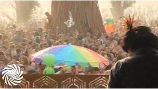 Hallucinogen (Simon Posford) @ Ozora Festival 2015