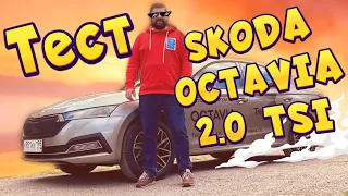 SKODA OCTAVIA 2.0 TSI: Тест-драйв, Бежевый салон, Black-пакет!