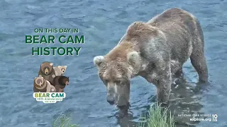 On This Day In Bear Cam History | Otis Arrives Late to Brooks Falls