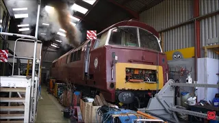 AWESOME!! Class 52 D1010 'WESTERN CAMPAIGNER' diesel start up