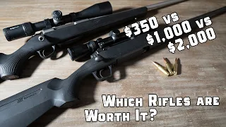 $350 Hunting Rifle vs $1,000 vs $3,000 - What you Actually Get for the Price