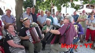 POLACY uwielbiają śpiewać na biesiadną nutę ! Rozśpiewana pograjka w Kazimierzu Dolnym - 2019 r.