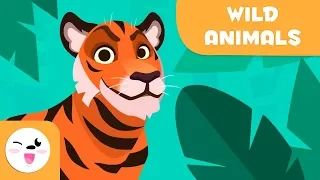 Wild animals for kids - Vocabulary for kids