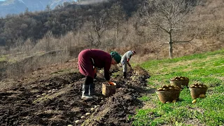 The Hard Life of an Elderly Couple in a Mountain Village. Working with the Land and Cooking Dinner