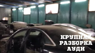 КРУПНАЯ РАЗБОРКА АУДИ