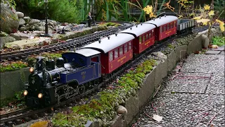 LGB Zahnradlok mit DFB Wagen    Gartenbahn   garden railway