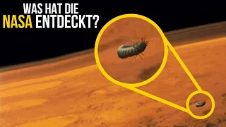 Du wirst nicht glauben, was die NASA gerade auf dem Mars gefunden hat!