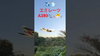 ✈️💨エミレーツ航空🛬A380📸‪⸜‪‪‪‪‪︎🐣⸝‬‪‪ #shorts