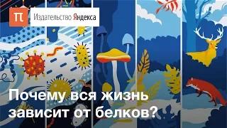 Белки: из чего состоит все живое на Земле