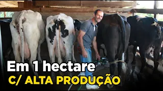 300L DE LEITE, ALTA LUCRATIVIDADE - SIM É POSSIVEL!