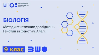 9 клас. Біологія. Методи генетичних досліджень. Генотип та фенотип. Алелі