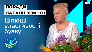 Наталя Земна розповіла про цілющі властивості бузку