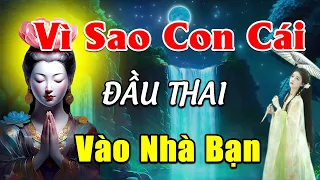 Muốn Biết CON CÁI Đến Với CHA MẸ Là Duyên Hay Là Nợ  Nghe 1 Lần Rồi Sẽ Rõ - Đường Về Tịnh Độ