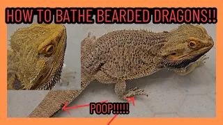 HOW TO GIVE YOUR BEARDED DRAGON A BATH! WILL HE TRY TO POOP ON ME?