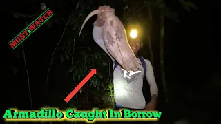 Armadillo Hunting in Trinidad 🇹🇹 Forest- Ep293