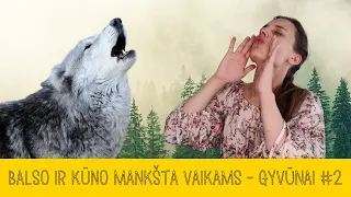 Mankšta vaikams - Gyvūnai (2 dalis)