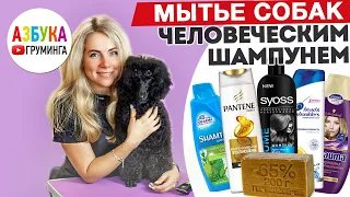 Человеческий шампунь для мытья собак - почему бы и НЕТ?!