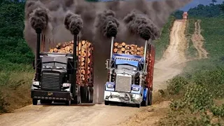 Dangerous Fastest Logging Wood Truck Operator Unbelievable | Heavy Equipment Machines Fails At Work.