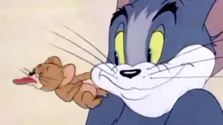 Tom and Jerry Reversed Episode (Suffering Cats)