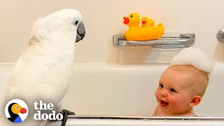 Cockatoo And Baby Boy Do Everything Together | The Dodo Soulmates