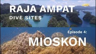 Raja Ampat Dive Sites | Mioskon Reef | Last Paradise | Papua Diving | Fish ID | 4K