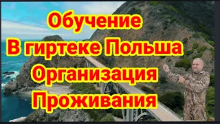 Обучение в гиртека Польша организация проживания в гостинице