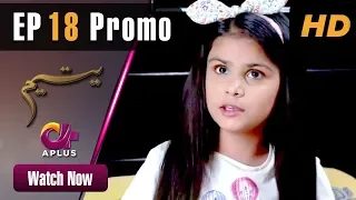 Pakistani Drama | Yateem - Episode 18 Promo |  Aplus | Sana Fakhar, Noman Masood, Maira Khan| C2V1