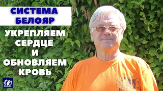 Как укрепить сердце и восстановить работу сердечно-сосудистой системы без лекарств. Система БЕЛОЯР.