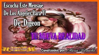 MENSAJE de los ÁNGELES PARA TI DIGEON💌ARCÁNGEL ARIEL💥TU NUEVA REALIDAD🔴enseñanzas VERTI