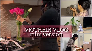 Mini VLOG | уход за домом, работа в офисе, танцы | taking care of the house, working in the office