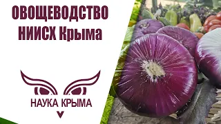 Овощеводство НИИСХ Крыма