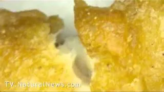 UFO Unidentified Food Object In Chicken McNuggets Strange Fibers Found