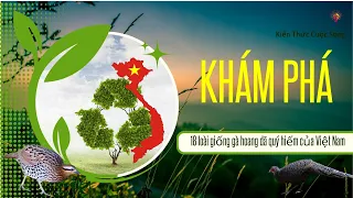 Khám Phá 18 Loài Gà Hoang Dã, Quý Hiếm Có Ở Việt Nam