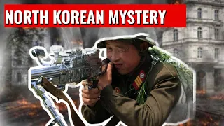 The Rare and Mysterious North Korean Type 73 Light Machine Gun