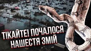 ⚡️Щось нове! На РФ суне КРИЖАНИЙ АПОКАЛІПСИС. Затопило аеродром. Поспливали трупи