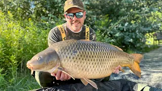 Tokparádé szép pontyokkal | Black Carp Lake