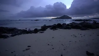 The Perfect Paradise Beach Sunrise Scene in 4K: White Sand, Blue Water & Waves - 1 Hour