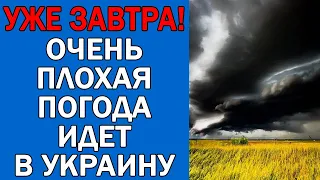 ПОГОДА НА 12 СЕНТЯБРЯ : ПОГОДА НА ЗАВТРА