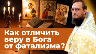 Как отличить веру в Бога от фатализма?  Священник Антоний Русакевич