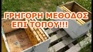 Φτιάχνουμε παραφυάδες χωρίς μετακινήσεις! Φοβερή μέθοδος!