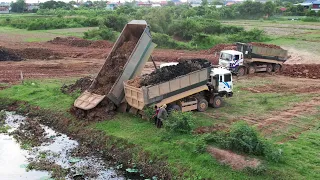 HEAVY LOADING DUMP TRUCKS TRANSPORTATION BAD DIRT AND WORKING TO PROCESS NEW PROJECT WITH BULLDOZERS